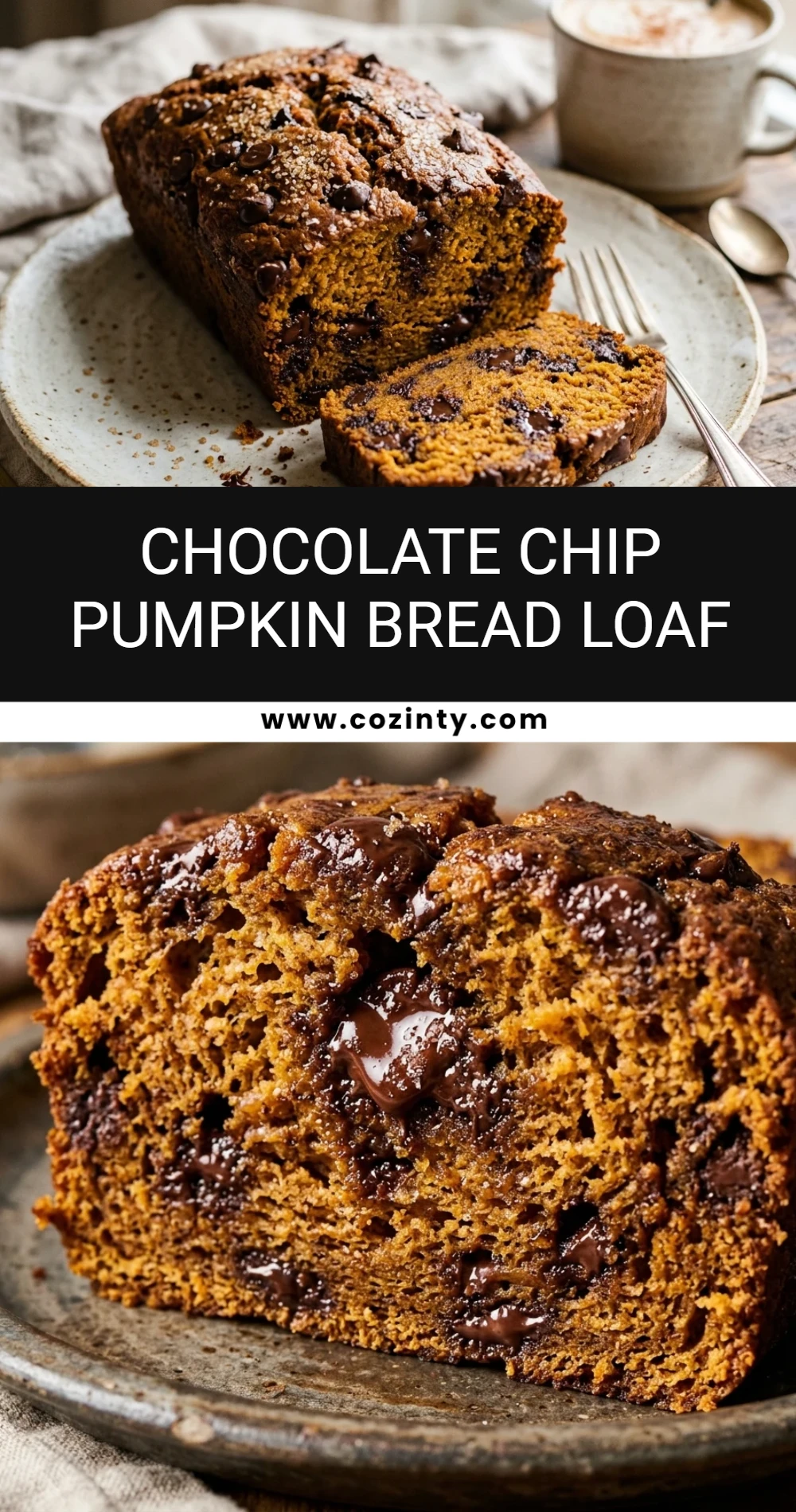 Chocolate Chip Pumpkin Bread Loaf